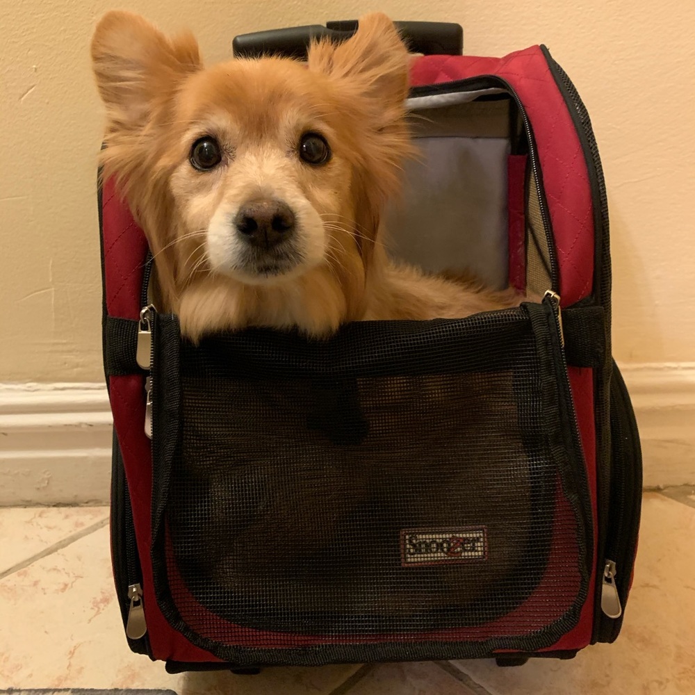 Snoozer Roll Around Travel Dog Carrier Backpack